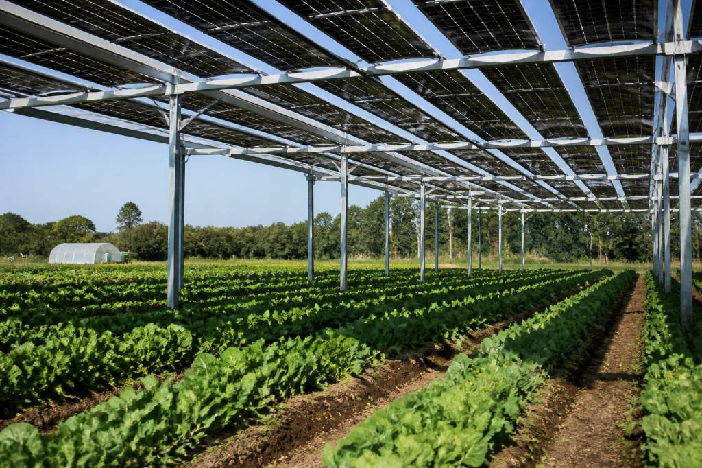 Agrar-photovoltaik für die landwirtschaft: chancen, nutzung und wirtschaftlichkeit
